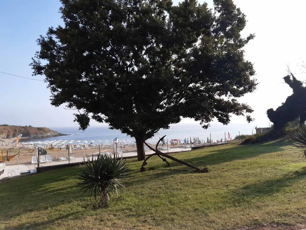 a1b27d14-9adf-4dd5-a8fd-76c8e8abfc34