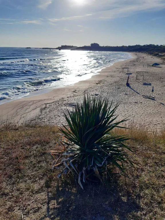 d8b4b043-b98e-4ed2-9e8e-d370b0e338d5